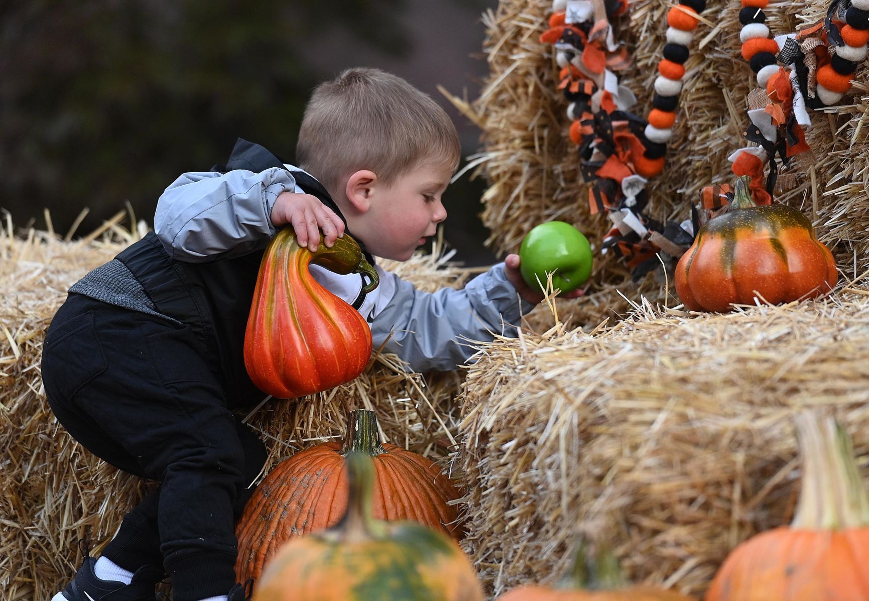 Halloweekend's pumpkin Path 9